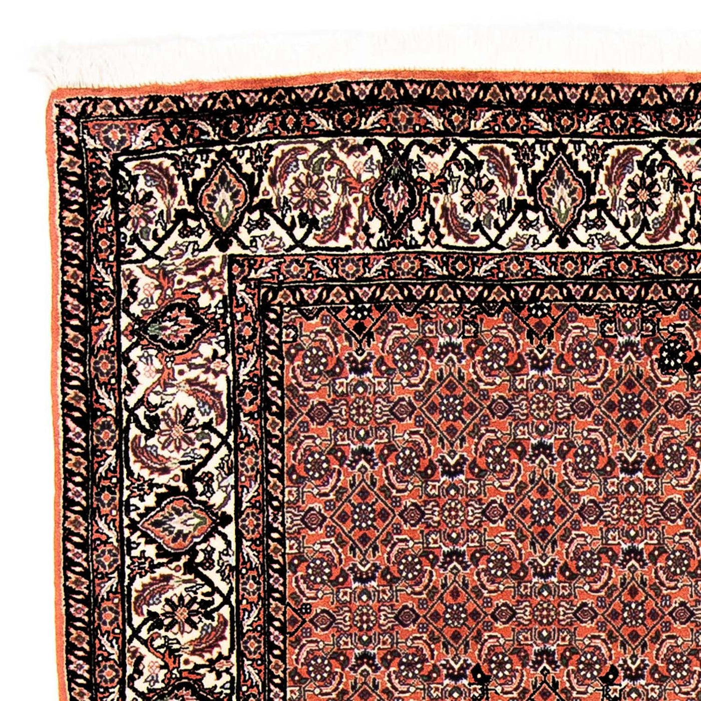 Bidjar Tapete 250x173cm - Tapete persa