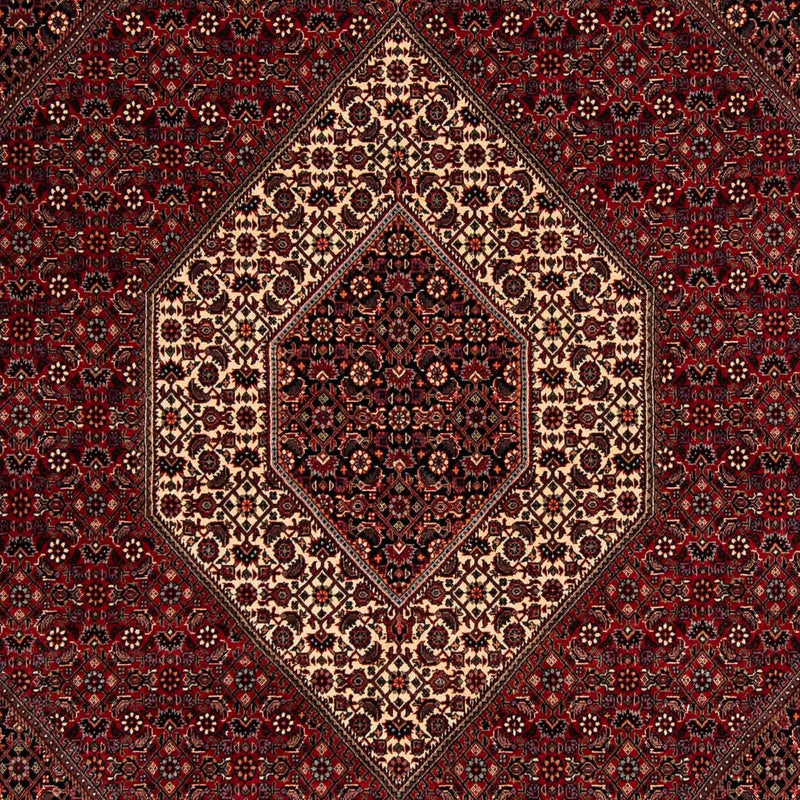 Bidjar Tapete 247x202cm - Tapete persa