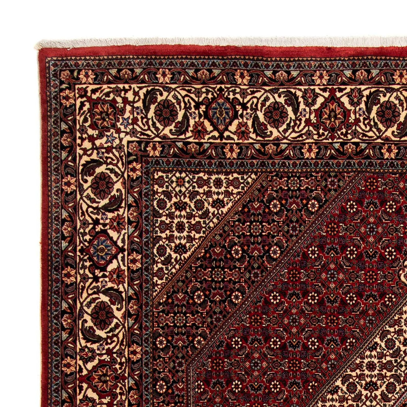 Bidjar Tapete 247x202cm - Tapete persa