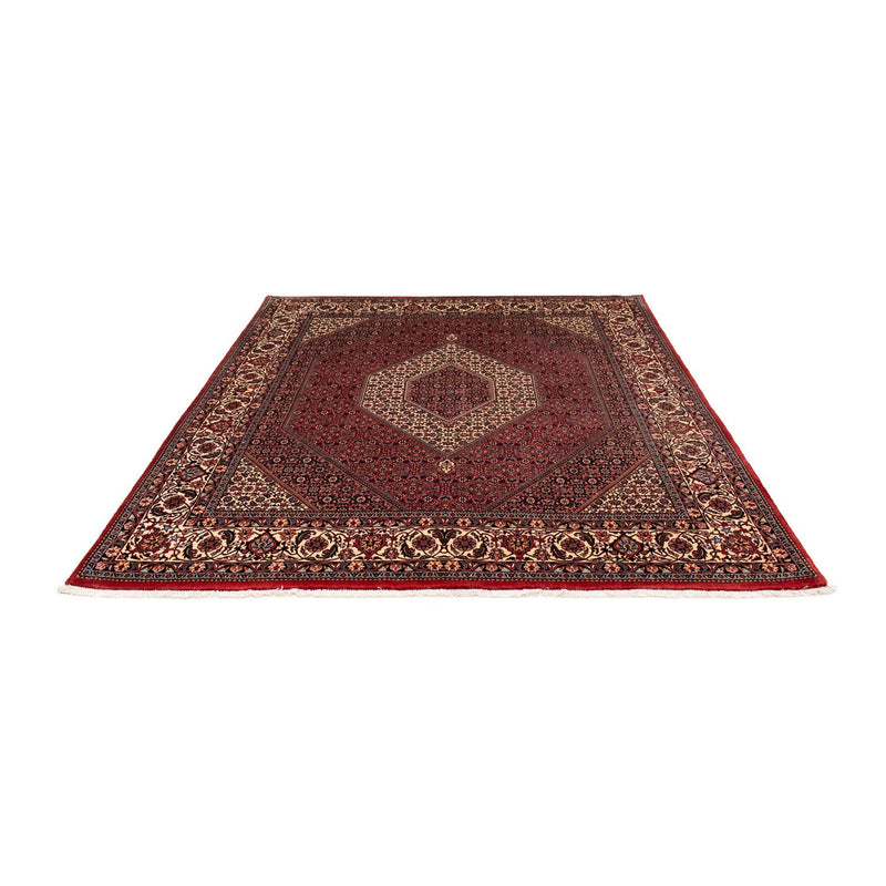 Bidjar Tapete 247x202cm - Tapete persa