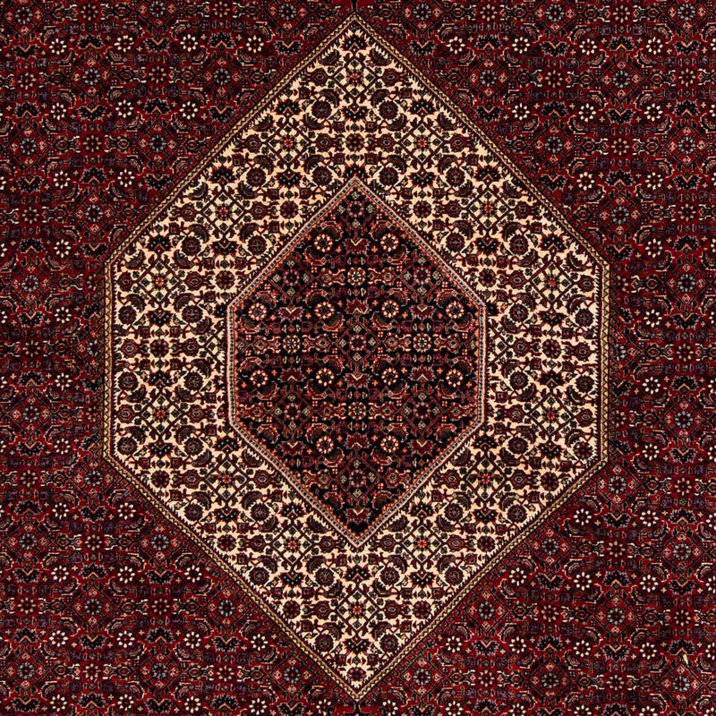 Bidjar Tapete 257x204cm - Tapete persa