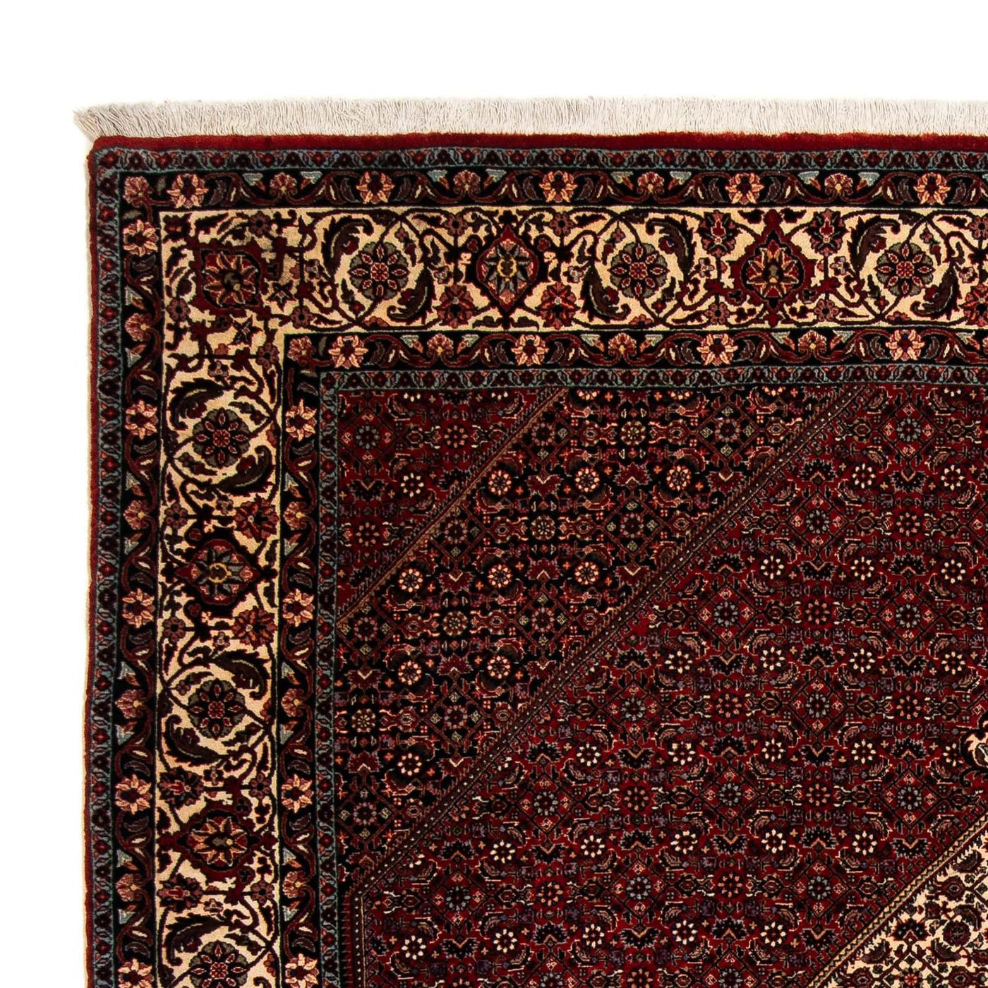 Bidjar Tapete 257x204cm - Tapete persa