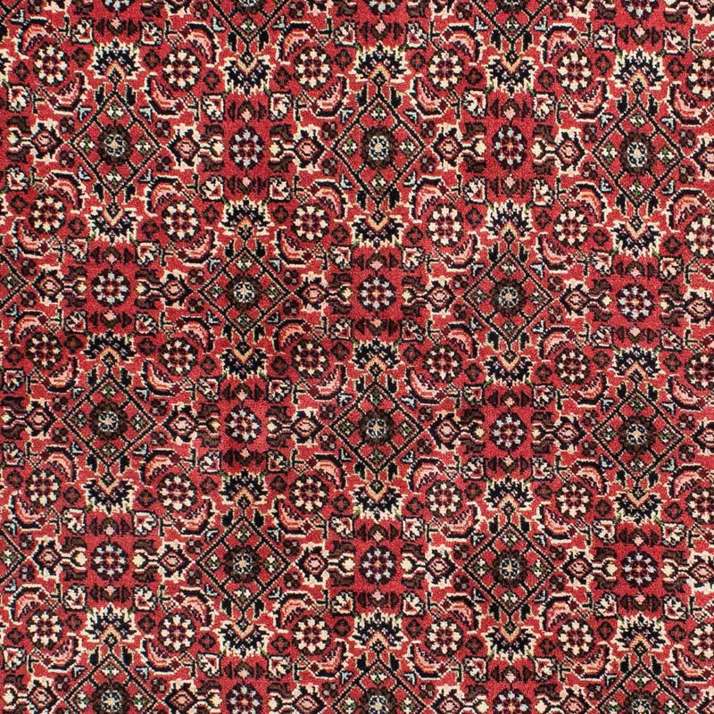 Bidjar - Zanjan Tapete 208x139cm - Tapete persa