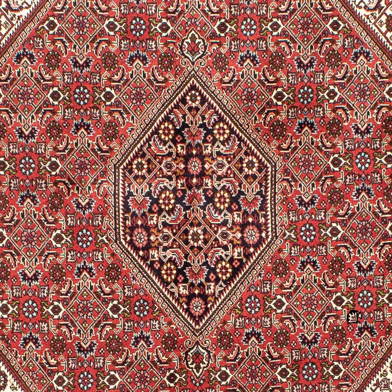 Tapete Persa - Bijar - 245 x 172 cm - vermelho claro