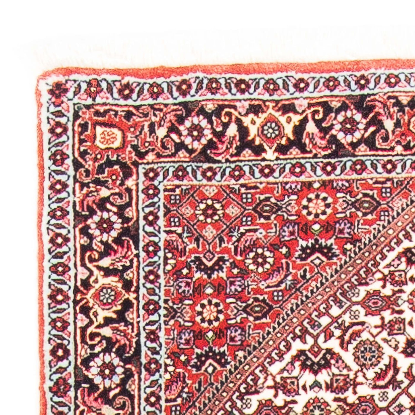Bidjar Tapete 152x75cm - Tapete persa