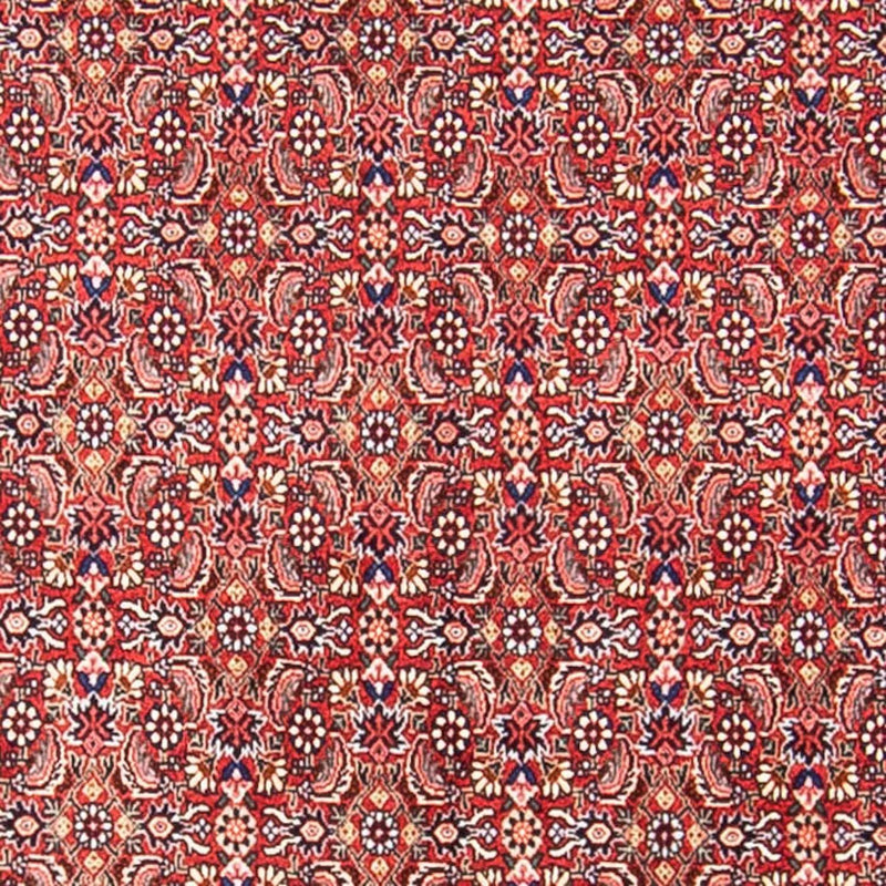 Bidjar Tapete 307x248cm - Tapete persa