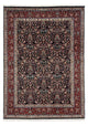 Moud Tapete 240x174cm - Tapete persa