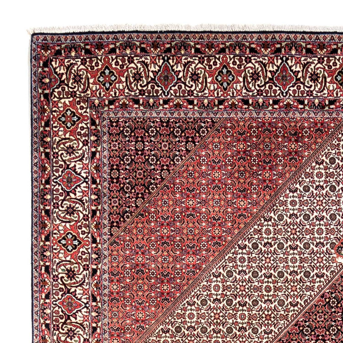 Bidjar - Takab Tapete 252x349cm - Tapete persa