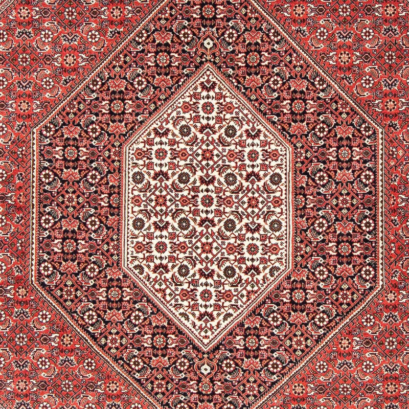 Bidjar Tapete 170x251cm - Tapete persa