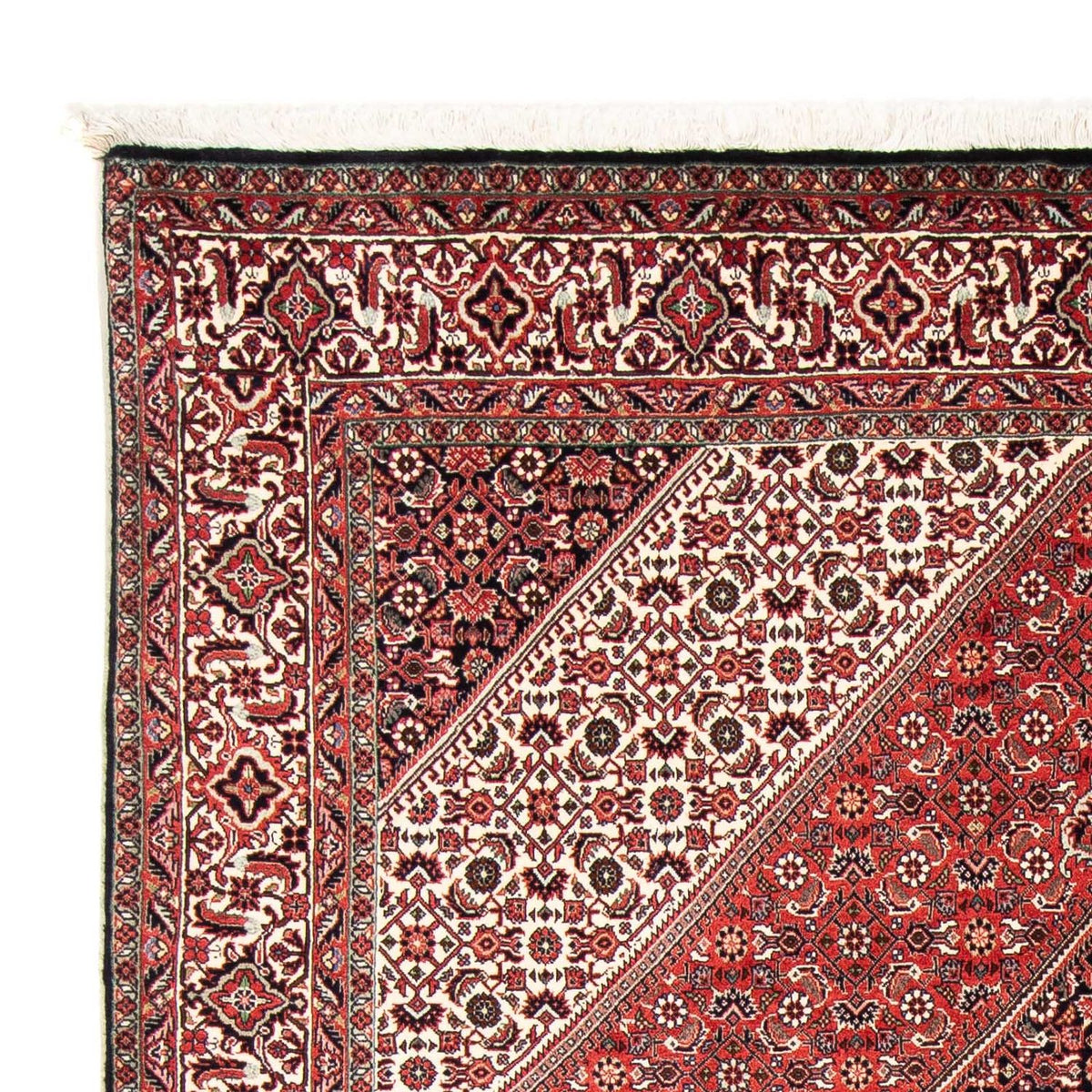 Bidjar Tapete 170x251cm - Tapete persa