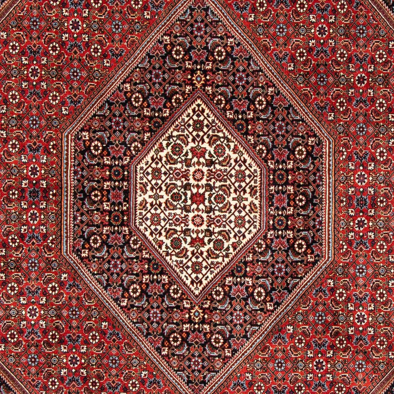 Bidjar Teppich 246x170cm - Perserteppich