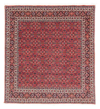 Bidjar Tapete 124x126cm - Tapete persa – product image