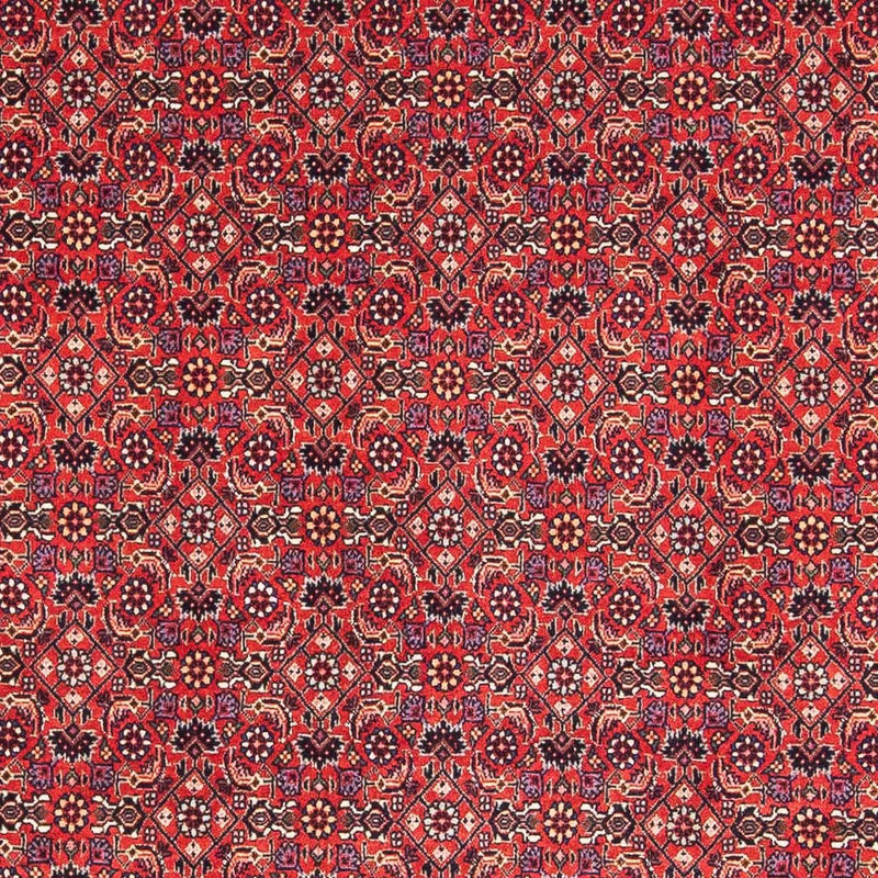 Bidjar Tapete 124x126cm - Tapete persa