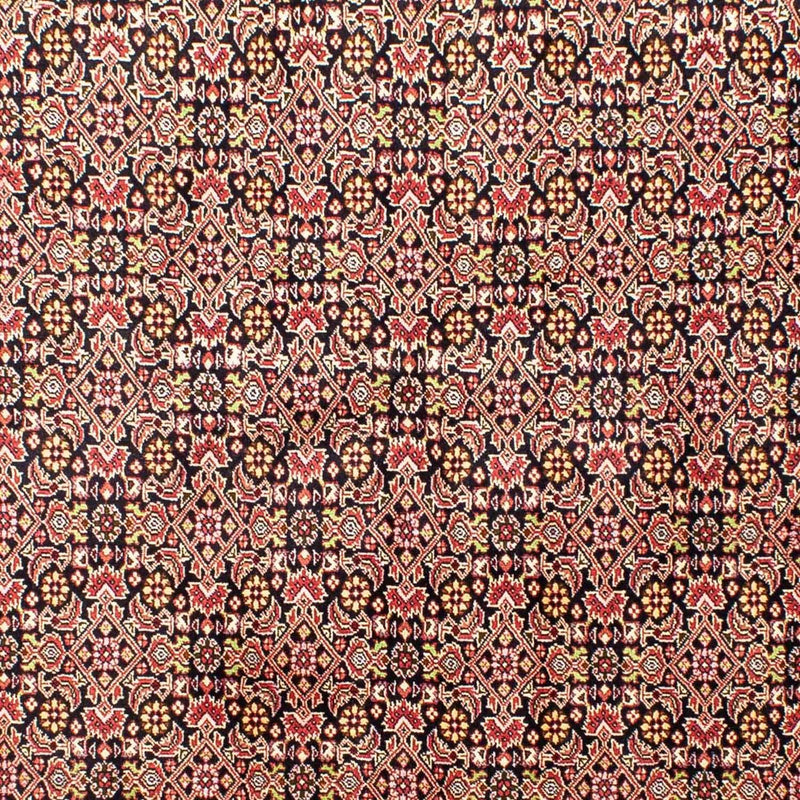 Bidjar Tapete 252x173cm - Tapete persa