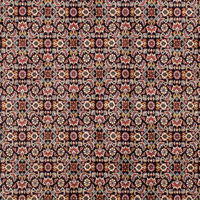 Bidjar Tapete 248x173cm - Tapete persa
