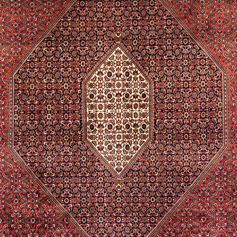 Bidjar Tapete 382x249cm - Tapete persa
