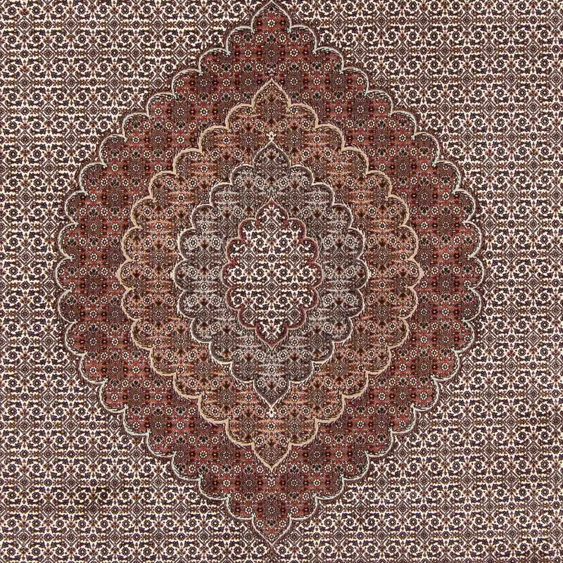 Tabriz - 50 Raj Tapete 253x348cm - Tapete persa