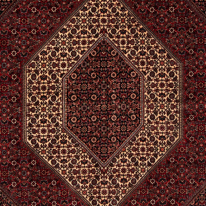 Bidjar Tapete 202x255cm - Tapete persa