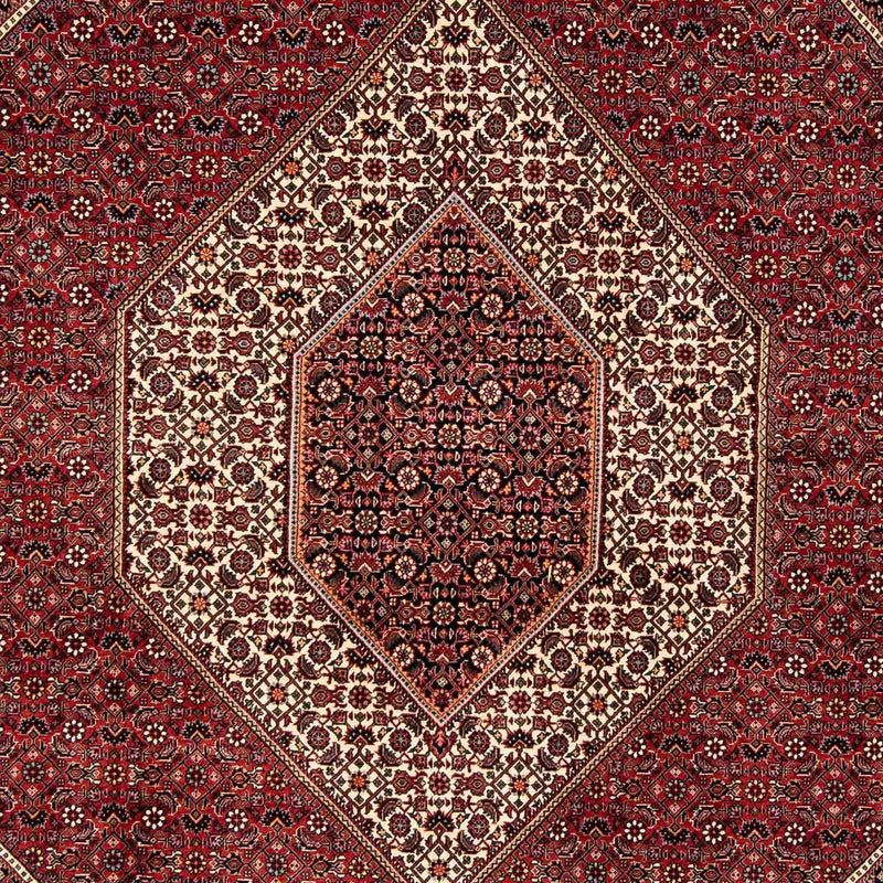 Bidjar Tapete 205x252cm - Tapete persa