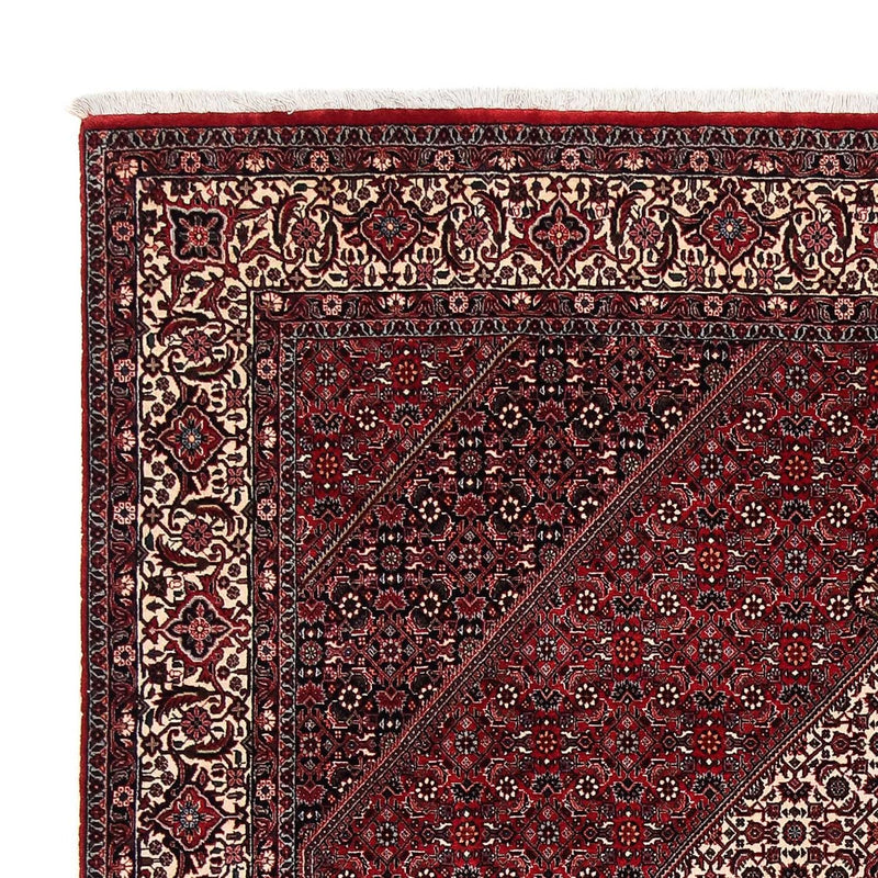 Bidjar Tapete 252x203cm - Tapete persa