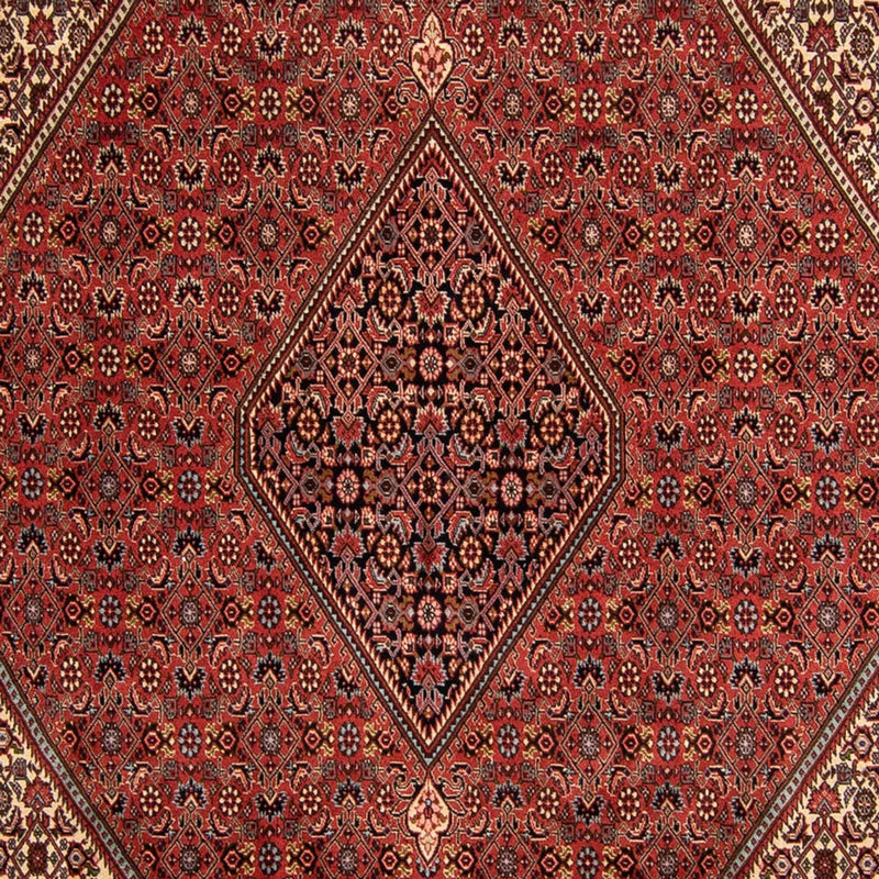 Bidjar Tapete 250x343cm - Tapete persa