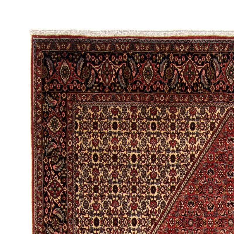 Bidjar Tapete 250x343cm - Tapete persa