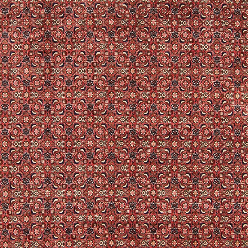 Bidjar Tapete 252x316cm - Tapete persa