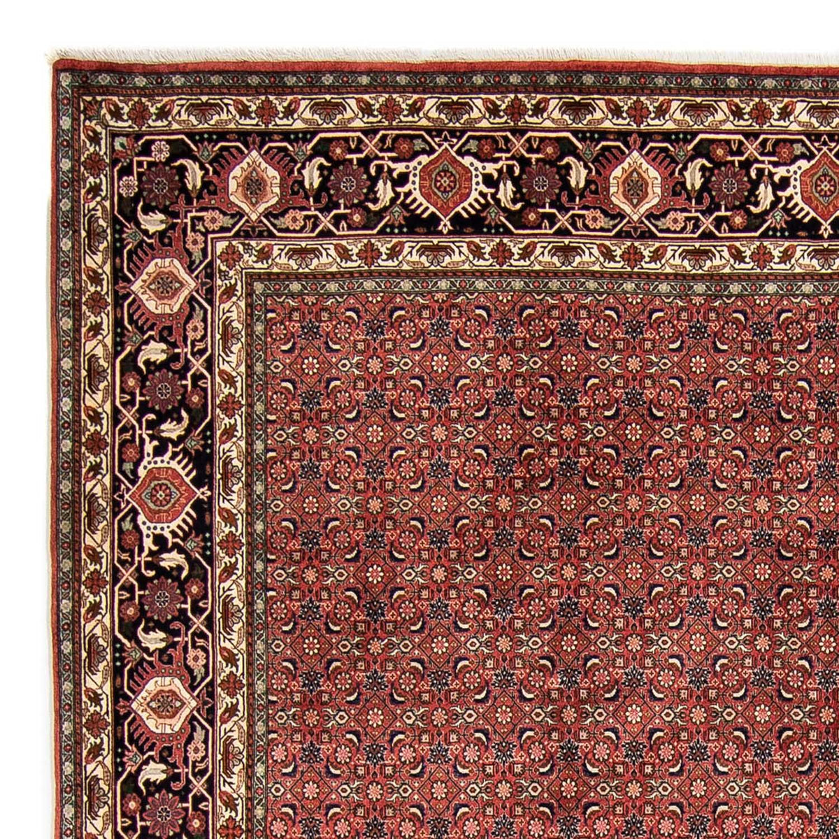 Bidjar Tapete 252x316cm - Tapete persa