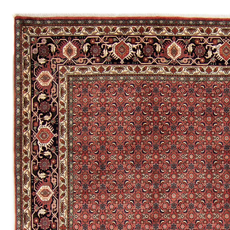 Bidjar Tapete 252x316cm - Tapete persa