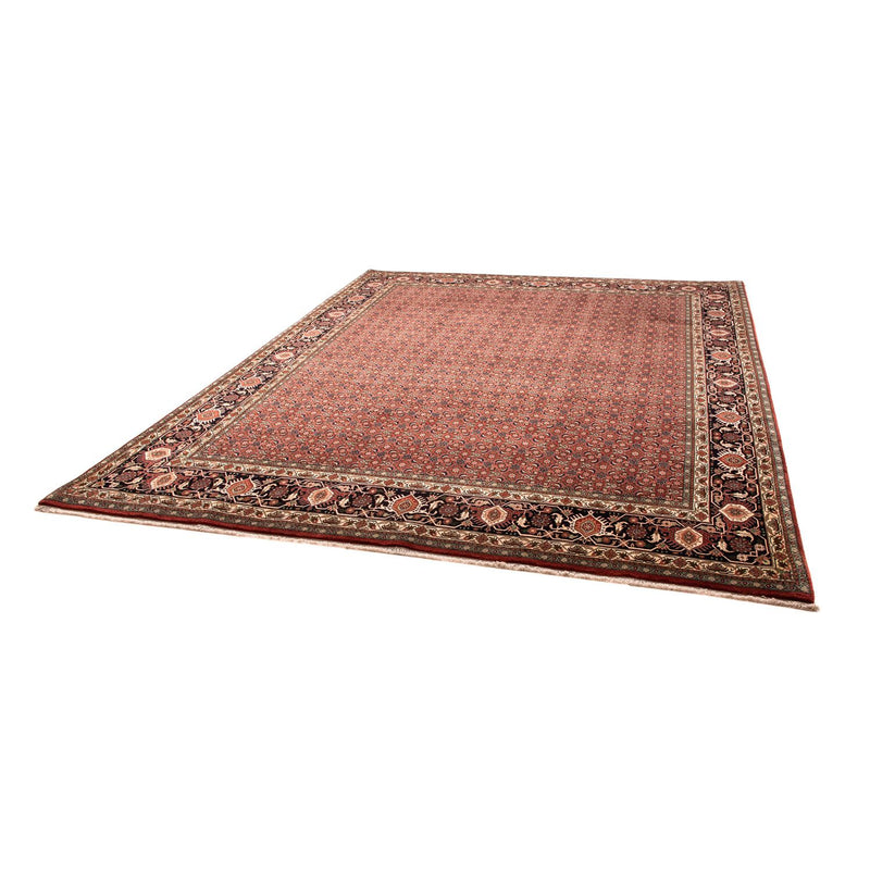 Bidjar Tapete 252x316cm - Tapete persa