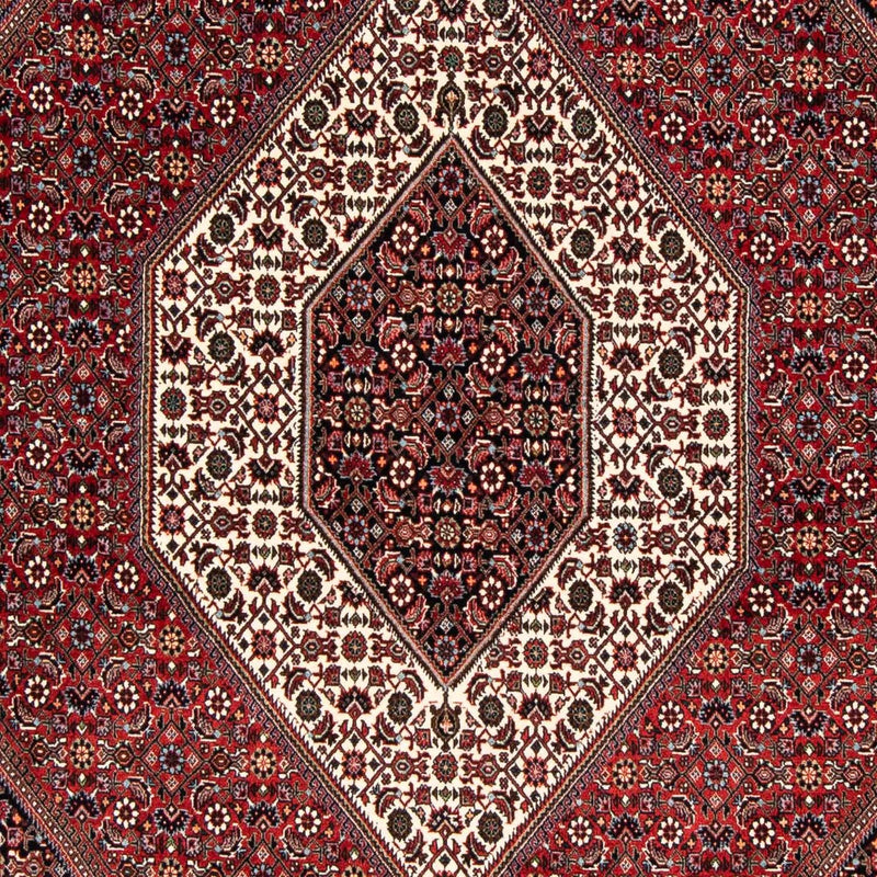 Bidjar Tapete 235x169cm - Tapete persa