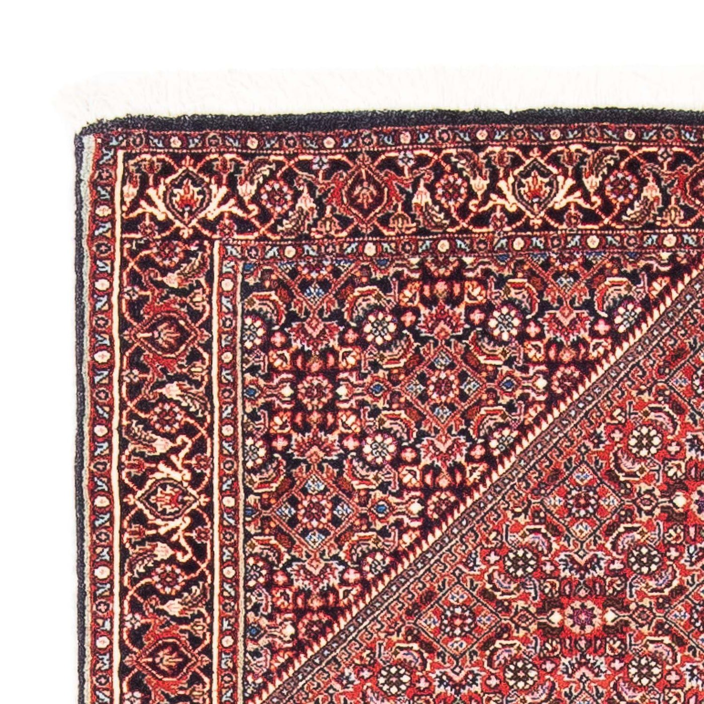 Bidjar Tapete 154x87cm - Tapete persa