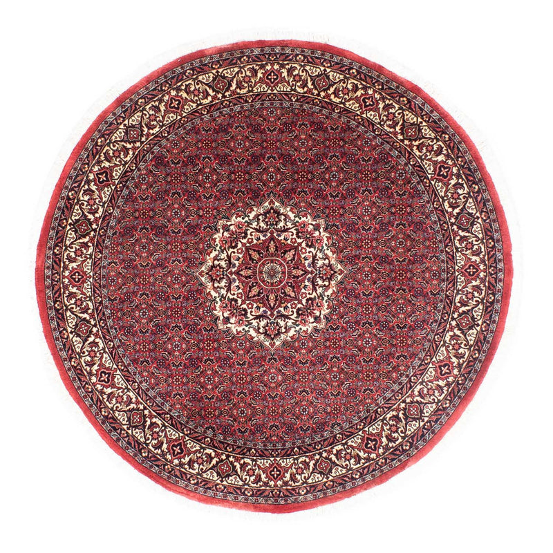 Bidjar Tapete 155x155cm - Tapete persa