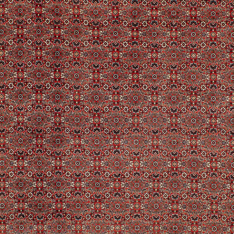 Bidjar Tapete 206x300cm - Tapete persa
