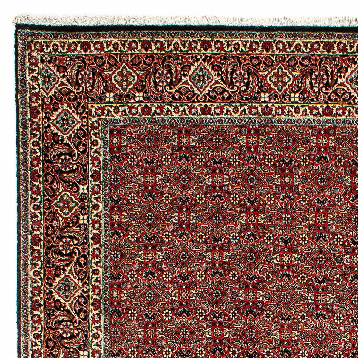 Bidjar Tapete 206x300cm - Tapete persa