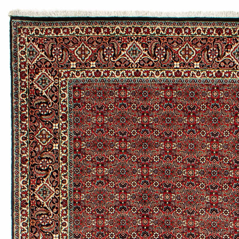 Bidjar Tapete 206x300cm - Tapete persa