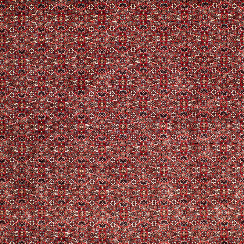 Bidjar Tapete 210x302cm - Tapete persa