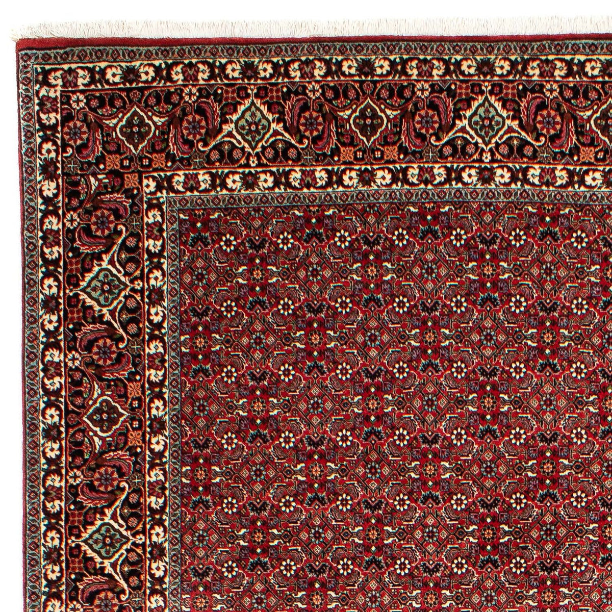Bidjar Tapete 210x302cm - Tapete persa