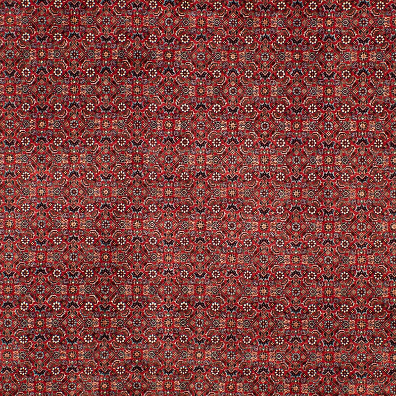 Bidjar Tapete 205x298cm - Tapete persa