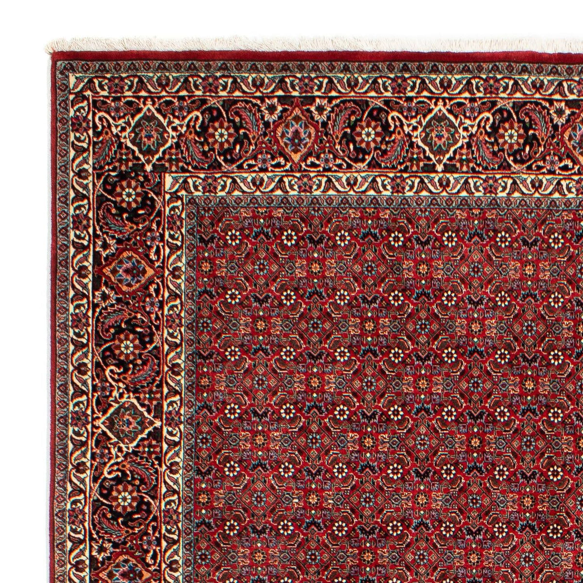 Bidjar Tapete 205x298cm - Tapete persa