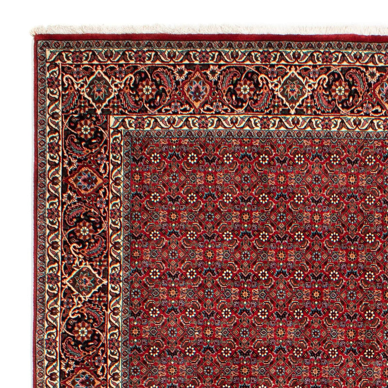 Bidjar Tapete 205x298cm - Tapete persa