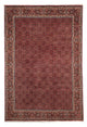 Bidjar Tapete 299x202cm - Tapete persa