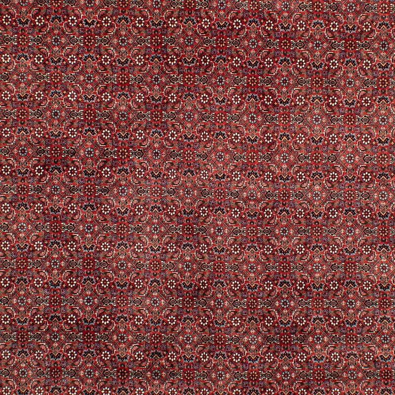 Bidjar Tapete 299x202cm - Tapete persa