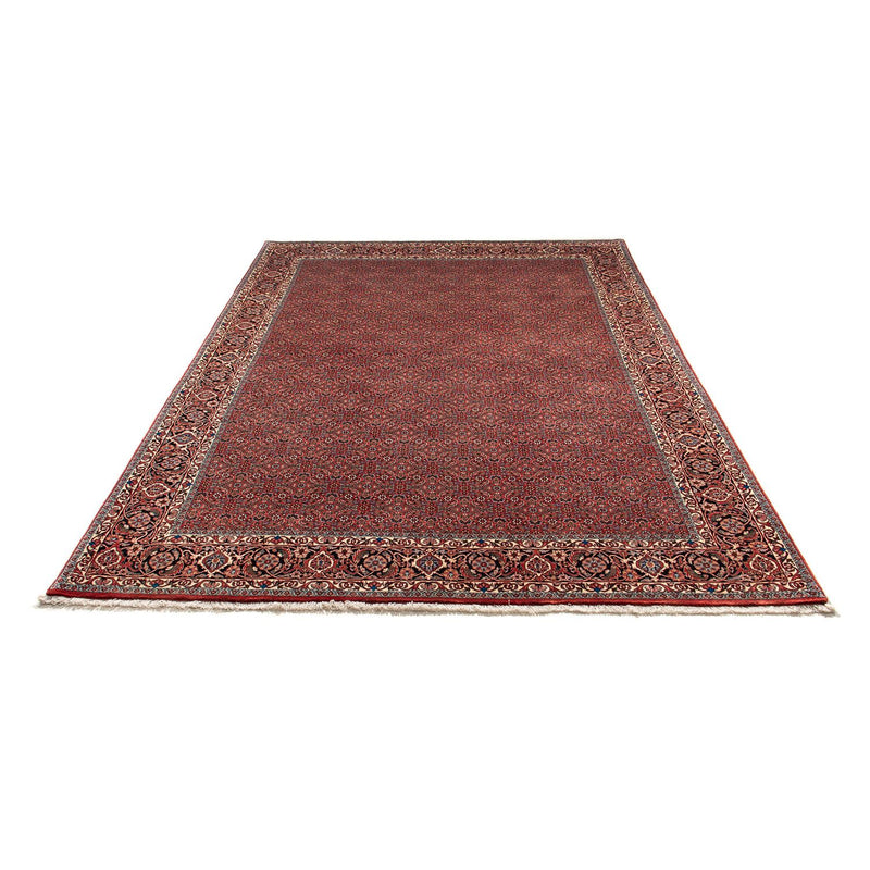 Bidjar Tapete 299x202cm - Tapete persa