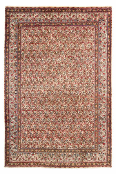 Rafsanjan Tapete 205x307cm - Tapete persa