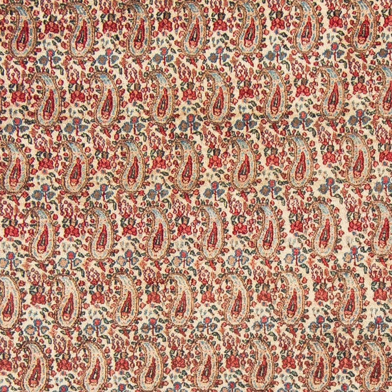 Rafsanjan Tapete 205x307cm - Tapete persa