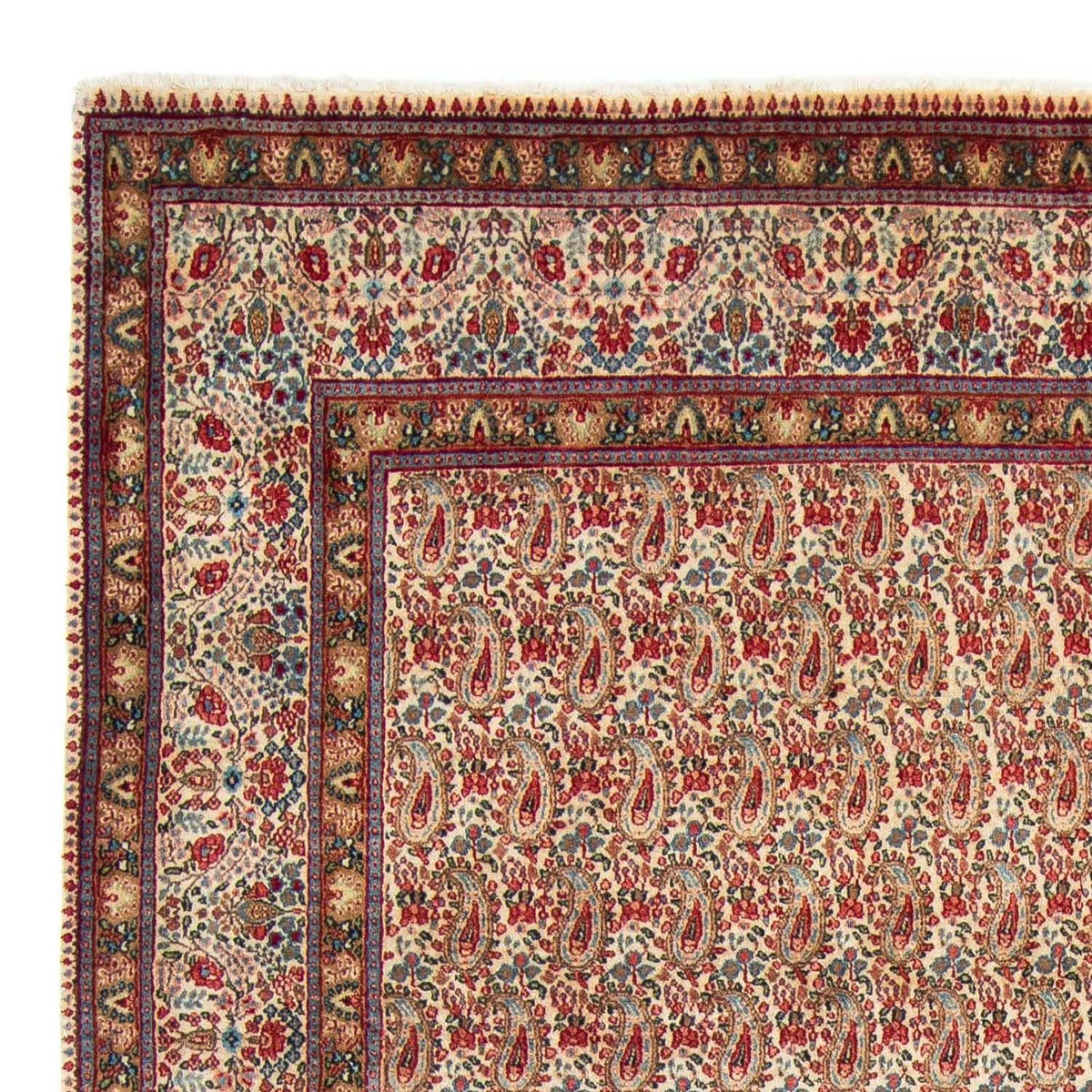 Rafsanjan Tapete 205x307cm - Tapete persa