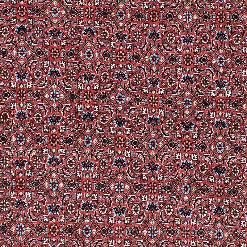 Bidjar Tapete 213x133cm - Tapete persa