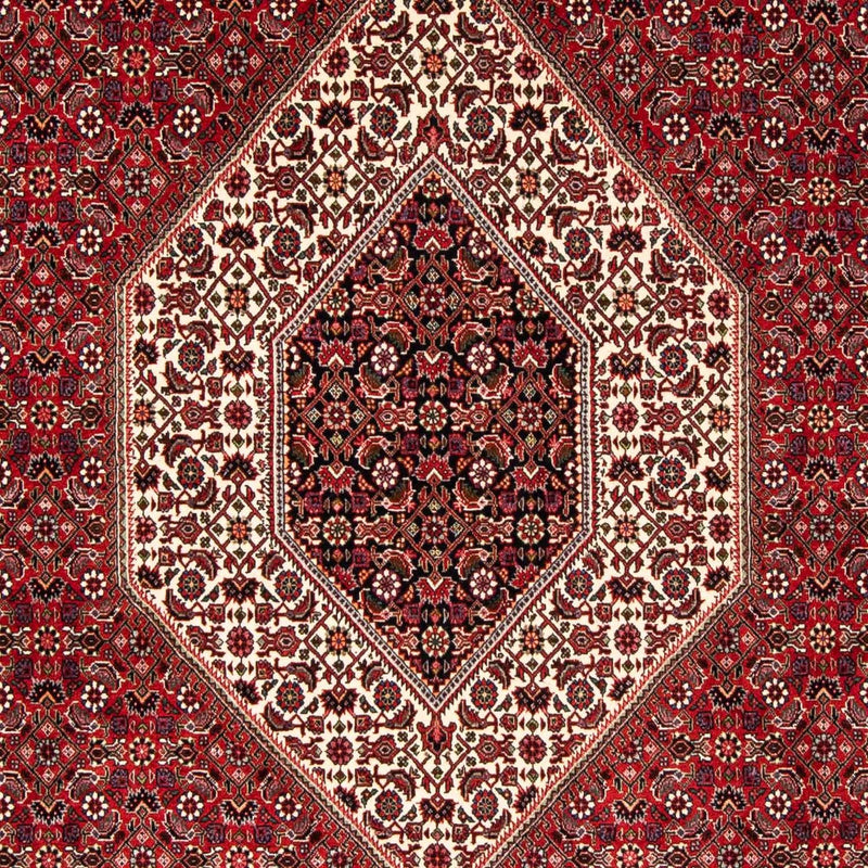 Bidjar Tapete 246x170cm - Tapete persa