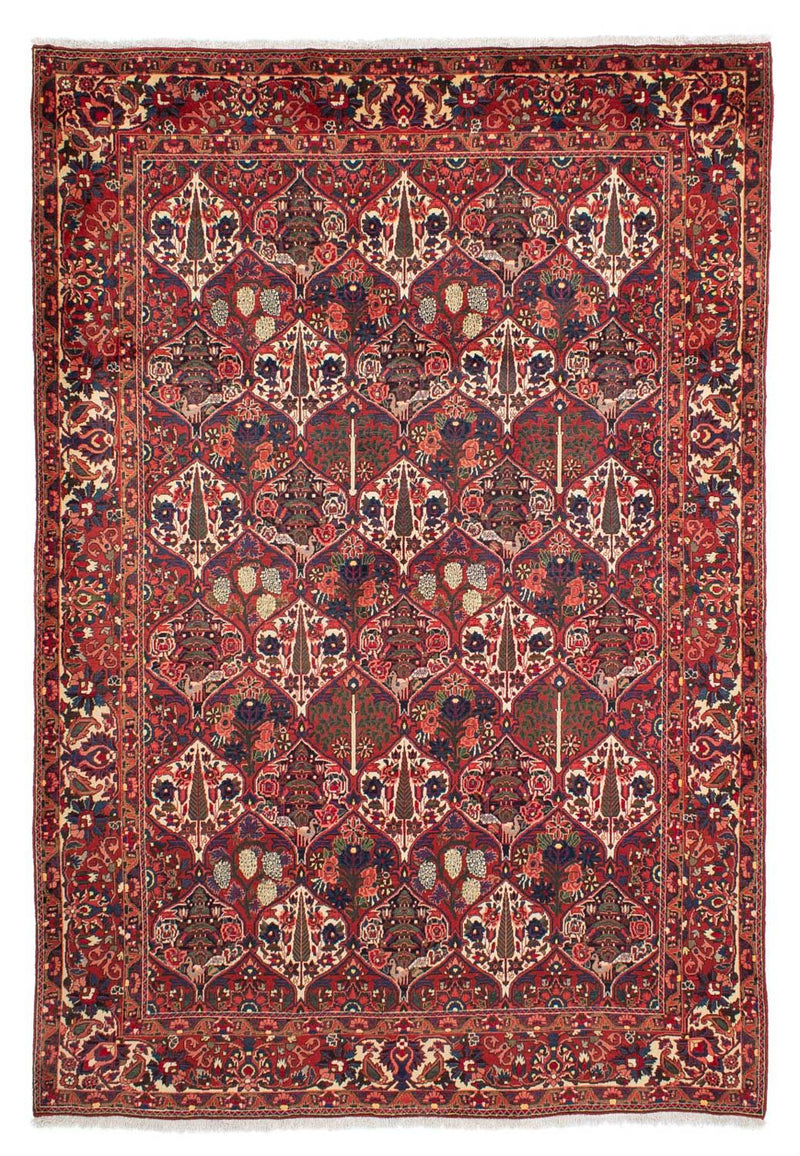 Bakhtiari Tapete 323x210cm - Tapete persa